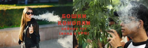 гидра Киренск
