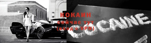 гидра Киренск