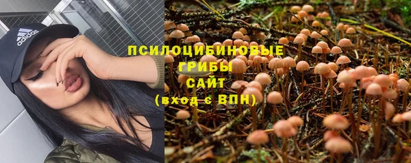 гидра Киренск