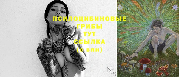 крисы Кинешма