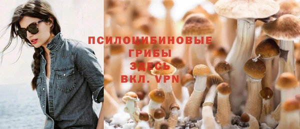 крисы Кинешма