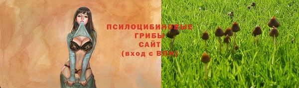гидра Киренск